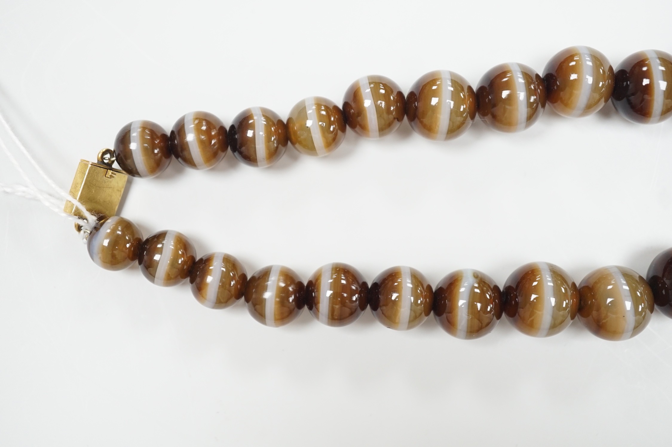 A single strand graduated banded agate circular bead necklace with yellow metal clasp, 46cm.